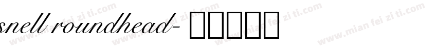 snell roundhead字体转换